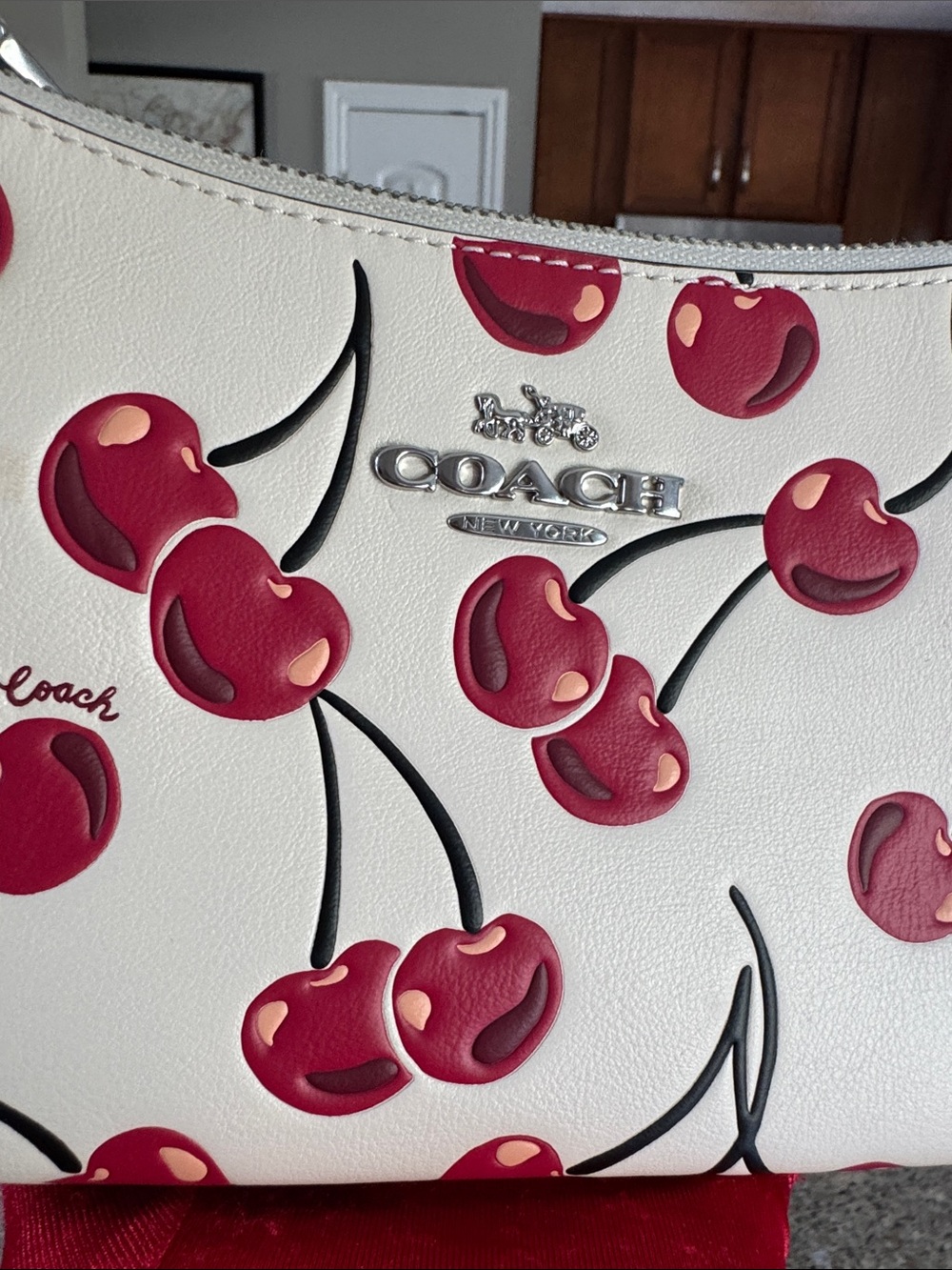 πCoachTeri Shoulder Bag With Cherry Print #CZ774π LIKE NEWπ - Picture 13 of 17